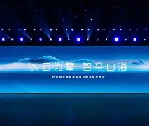 chi代表什么意思