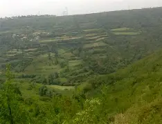 0藃鳹&amp;&amp;兓侓Z!(∫x∧4sinxdx)-华体会官网